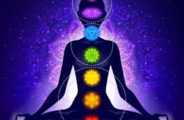 De Zeven Chakra’s